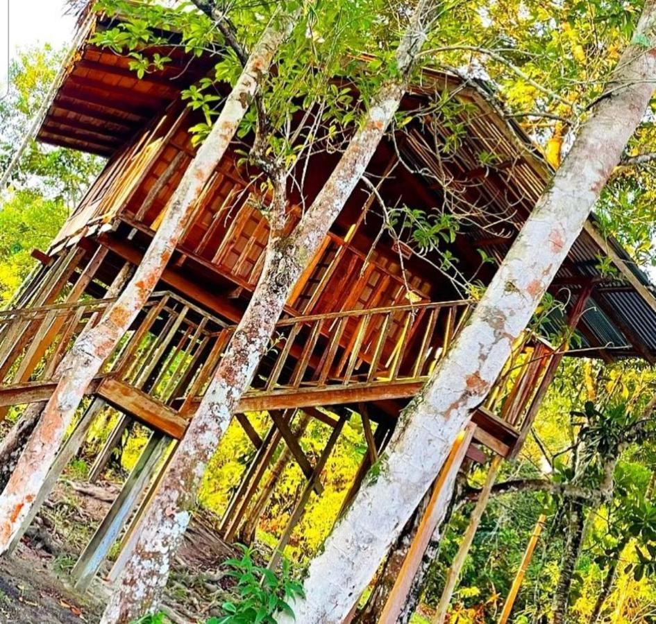 Hotel Karupa Amazonas Leticia Luaran gambar